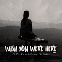 Gudi Ricardo Pazos Ga Salvia - Wish You Were Here Remix