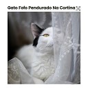 Cat Music - Meow Ing Companion