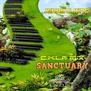 Jerry C King - Sanctuary Jerry C King C H L P Mix