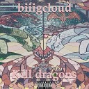 biiigcloud - Kill Dragons