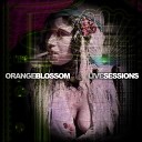 Orange Blossom - Carino Live Sessions