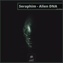 Seraphim - Lost Signal