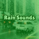 Rain Sounds Rain For Deep Sleep Jungle Sounds - Rain Storm Relaxation