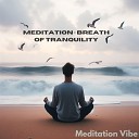 Meditation Vibe - Zen Melodies