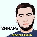 SHNAPS - Братва