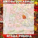 Ежовы Рукавицы - Ягода рябина