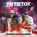 Wuiinpic feat Oveja Negra - En TikTok