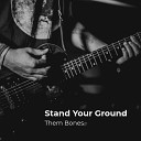 Them Bones feat Brad Voegtle - Stand Your Ground