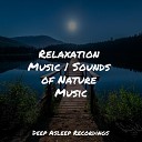 Music for Absolute Sleep The Sleep Helpers Shakuhachi… - Massage Music