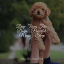 Music for Pets Library Relaxmydog Music for Calming… - Sounds of the Ocean