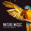 Pet Care Club - Flute Waves Pet Music