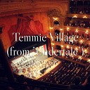 Allen Brasch - Temmie Village From Undertale Cover