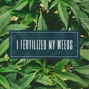 Charles Sartorius - I Fertilized My Weeds