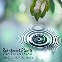 Close to Nature Music Ensemble - Gentle Rain Sounds for Sleeping