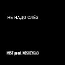 MIST KOSHEYGA3 - Не надо слез