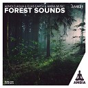 Elias Earth Arnold Aqua Ambia Music - Birds In the Forest