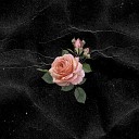 Lapier Dios - Розовые розы