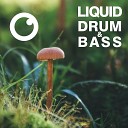 Dreazz - Liquid Drum Bass Sessions 2020 Vol 39