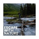 4D Nature Recordings - Woodland Soundscape