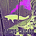 Sheray Kemp - Paying Chicago