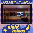 Blue Entity T O S - Night Voices