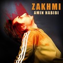 Amin Habibi - Zakhmi