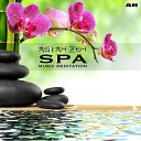Asian Zen Spa Music Meditation - Lights of the Solstice