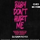 David Guetta Anne Marie Coi Leray - Baby Don t Hurt Me DJ Sam Radio Edit