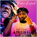 James Paare feat dommie Deal - Peace of Mind