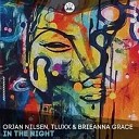 Orjan Nilsen feat Tluxx Brieanna Grace - In The Night