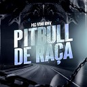 MC Vini Rnv Dj Gui de Novo - Pitbull de Ra a