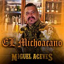 Miguel Angel Aceves - Amigos Y Enemigos