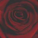 Austin Cevin - Red Rose