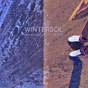 Wintersol - Pain of fiction