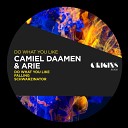 Camiel Daamen Arie - Do What You Like