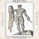 дно. - Медулла