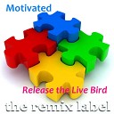 Motivated - Release the Live Bird Electro House Mix