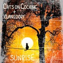 Cats on Cocaine Klangdorf - Sunrise Slowed Reverbed
