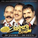 Die Edlseer mit den Zellberg Buam - Edlziller Party Kn ller Single Version