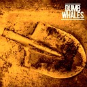 Dumb Whales - William Live at The Workers Club