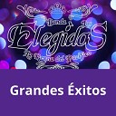 Banda Los Elegidos - Laurita Garza