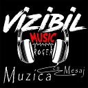 ROGER VizibilMusic - Outro O Zi in Plus