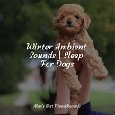 Official Pet Care Collection Music For Dogs… - Easy Going