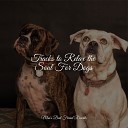 Dog Music Music for Calming Dogs Music for Dog s… - Focused Relaxed