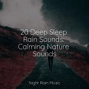 Sounds Of Nature Thunderstorm Relaxing Mindfulness Meditation Relaxation Maestro Ambient Music… - Light Rains