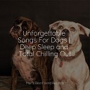 Calming Music for Dogs Sleepy Dogs Pet Care Music… - Soothing Winds