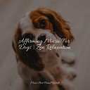 Sleep Music For Dogs Pet Care Club Pet Care Music… - A Time for Relaxation