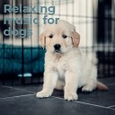 Relax Your Pet - Soft Music for Dogs