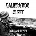 Calibration Alert - Steadiness Dub