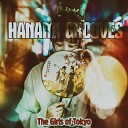 Hanami Grooves - Hansard